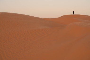welcome to south tunisia : ksar ghilane and begining Sahara desert clipart