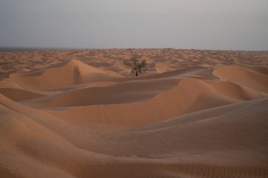 Güney Tunus 'a hoş geldiniz: Çar ghilane ve Sahra Çölü' nün başlangıcı