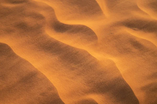 Tunus 'a hoş geldiniz: Ksar ghilane ve Sahra Çölü 