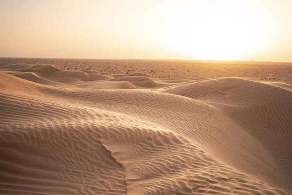 Bienvenue Tunisie Sud Ksar Ghilane Désert Sahara Débutant — Photo