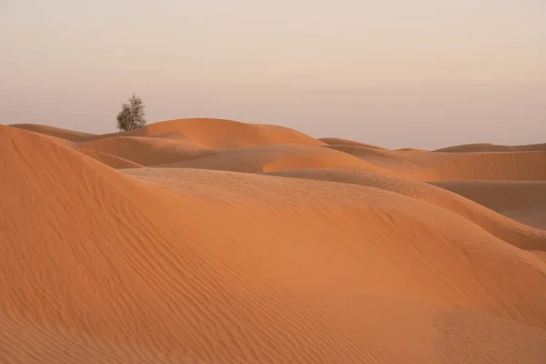 Welkom Zuid Tunesië Ksar Ghilane Het Begin Van Sahara Woestijn — Stockfoto