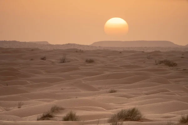 Witamy Południowej Tunezji Ksar Ghilane Początek Sahary Pustyni — Zdjęcie stockowe
