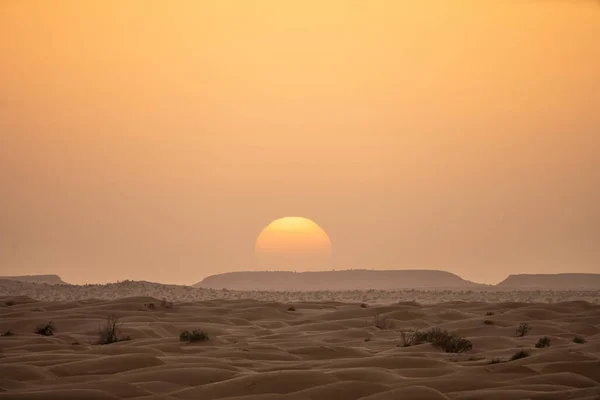 欢迎来到南突尼斯 Ksar Ghilane和撒哈拉沙漠初露头角 — 图库照片