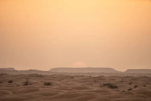 Bienvenido Sur Tunisia Ksar Ghilane Comienzo Del Desierto Del Sahara —  Fotos de Stock