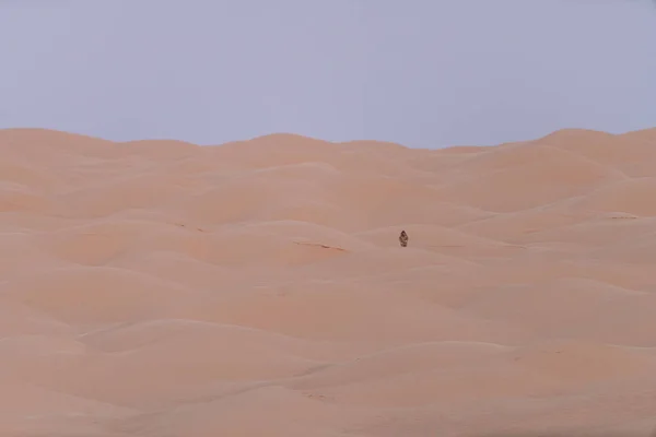 南チュニジアへようこそ クサー ギランとサハラ砂漠の始まり — ストック写真