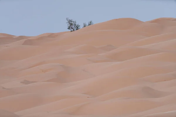 Bienvenido Sur Tunisia Ksar Ghilane Comienzo Del Desierto Del Sahara — Foto de Stock