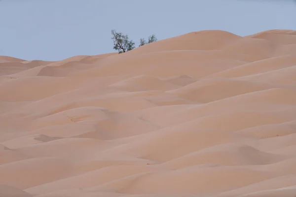 Welcome South Tunisia Ksar Ghilane Begining Sahara Desert — Stock Photo, Image