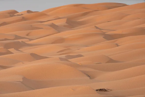 Bem Vindo Tunisia Sul Ksar Ghilane Início Deserto Saara — Fotografia de Stock