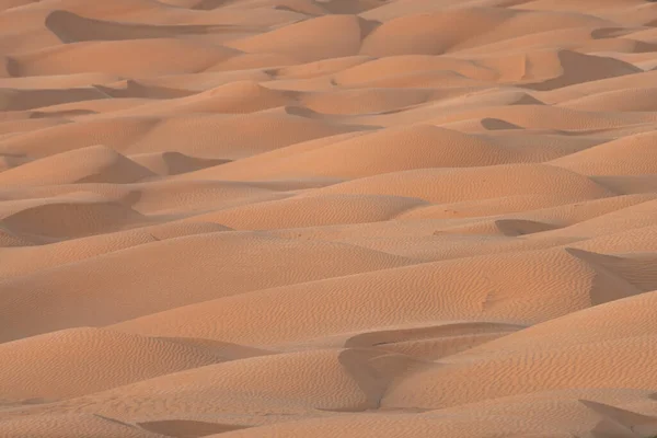 Bienvenido Sur Tunisia Ksar Ghilane Comienzo Del Desierto Del Sahara —  Fotos de Stock