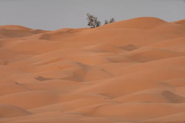 Vítejte Jihu Tuniska Ksar Ghilane Začíná Saharská Poušť — Stock fotografie