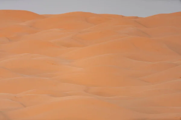 Üdvözöljük Dél Tunéziában Ksar Ghilane Szahara Sivatag Kezdete — Stock Fotó