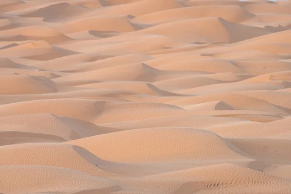 Bem Vindo Tunisia Sul Ksar Ghilane Início Deserto Saara — Fotografia de Stock