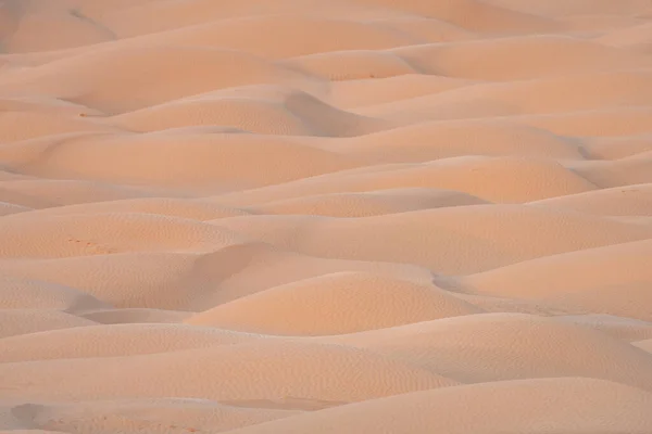 Bienvenido Sur Tunisia Ksar Ghilane Comienzo Del Desierto Del Sahara — Foto de Stock