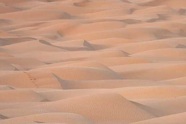 Bem Vindo Tunisia Sul Ksar Ghilane Início Deserto Saara — Fotografia de Stock