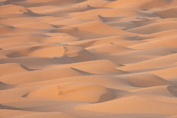 Bienvenido Sur Tunisia Ksar Ghilane Comienzo Del Desierto Del Sahara —  Fotos de Stock