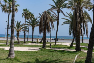 Tunus 'a hoş geldiniz: Manastır 