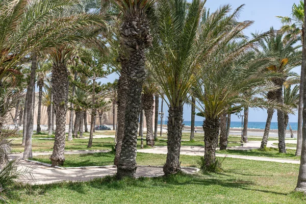 Добро Пожаловать Тунис Одиа Город Восточном Побережье — стоковое фото