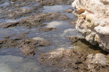 Tunus 'a hoş geldiniz. Mahdia, doğu yakası şehri. 