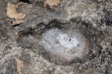 Tunus 'a hoş geldiniz. Mahdia, doğu yakası şehri. 