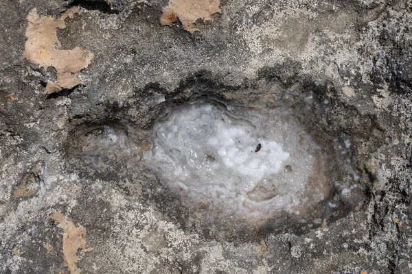 Tunus Hoş Geldiniz Mahdia Doğu Yakası Şehri — Stok fotoğraf