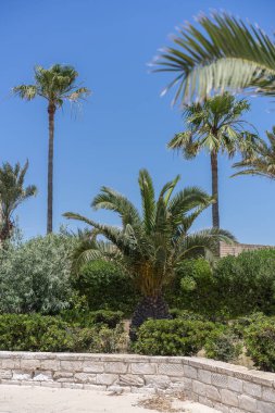 Doğu Tunus kıyılarına hoş geldiniz. Manastır.