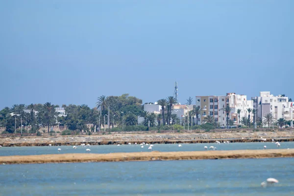 Bienvenue Sur Côte Est Tunisienne Monastir — Photo