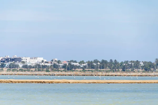 Vítejte Východním Pobřeží Tuniska Klášter — Stock fotografie