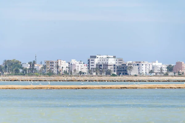 Bienvenue Sur Côte Est Tunisienne Monastir — Photo