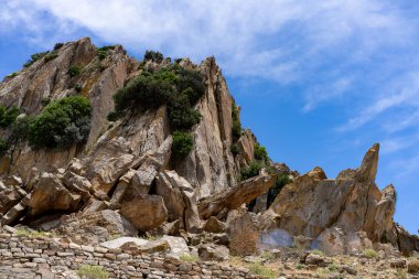 ZRIBA OLYA 'NIN YASAK BERBER KÖLÜMÜ