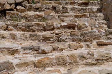 ZRIBA OLYA 'NIN YASAK BERBER KÖLÜMÜ