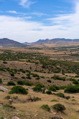 ZRIBA OLYA 'NIN YASAK BERBER KÖLÜMÜ