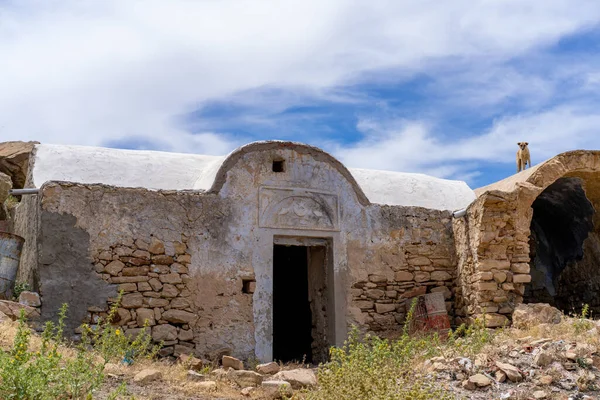 Zriba Olia Elkészített Berber Village — Stock Fotó