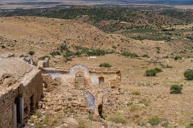 ZRIBA OLYA 'NIN YASAK BERBER KÖLÜMÜ