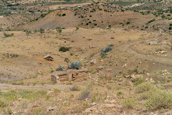 Zriba Olia Elkészített Berber Village — Stock Fotó