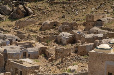 ZRIBA OLYA 'NIN YASAK BERBER KÖLÜMÜ
