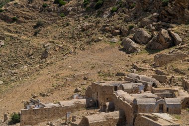 ZRIBA OLYA 'NIN YASAK BERBER KÖLÜMÜ