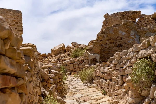 Abandoned Berber Village Zriba Olia — Stock Photo, Image