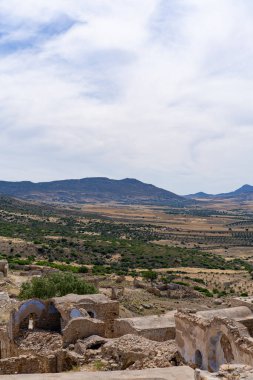 ZRIBA OLYA 'NIN YASAK BERBER KÖLÜMÜ