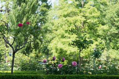 Grenoble, Fransa Görünümü