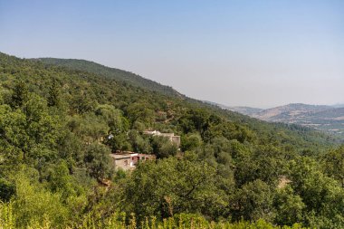 Draham, Kuzey Tunus, Temmuz 2020