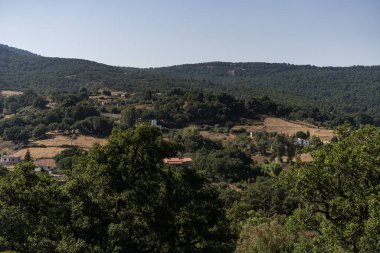 Draham, Kuzey Tunus, Temmuz 2020