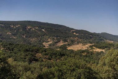 Draham, Kuzey Tunus, Temmuz 2020