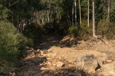 Draham, Kuzey Tunus, Temmuz 2020