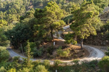 Ain Draham yakınlarındaki Beni M 'Tir Manzarası - Tunus