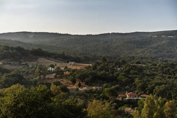 Draham, Kuzey Tunus, Temmuz 2020