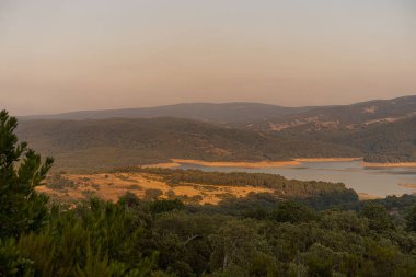 Draham, Kuzey Tunus, Temmuz 2020