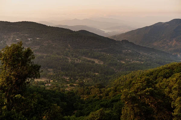 stock image Ain Draham , northern Tunisia, July 2020