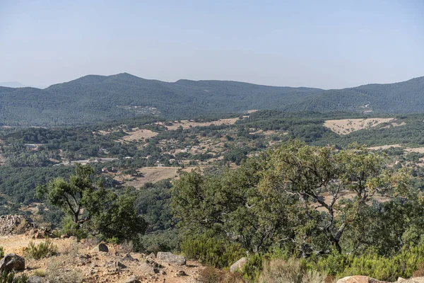 Draham, Kuzey Tunus, Temmuz 2020