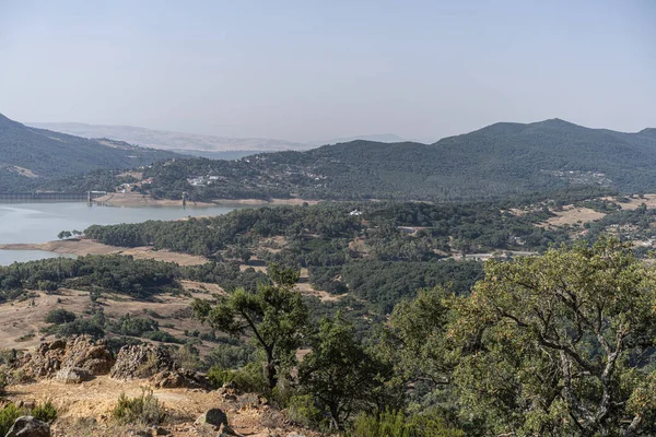 Draham, Kuzey Tunus, Temmuz 2020