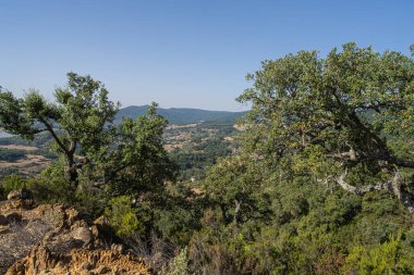 Draham, Kuzey Tunus, Temmuz 2020